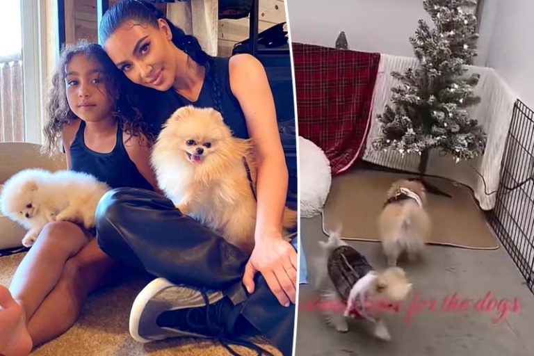 Kim Kardashian’s Dogs Reign Supreme: The Tale of Princess and her Canine Kingdom 