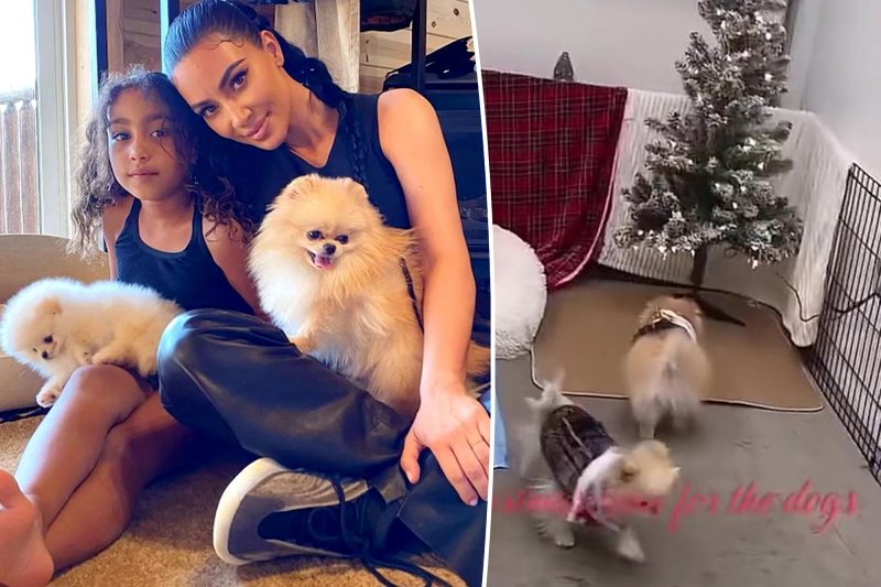 Kim Kardashian's Dogs Reign Supreme: The Tale of Princess and her Canine Kingdom