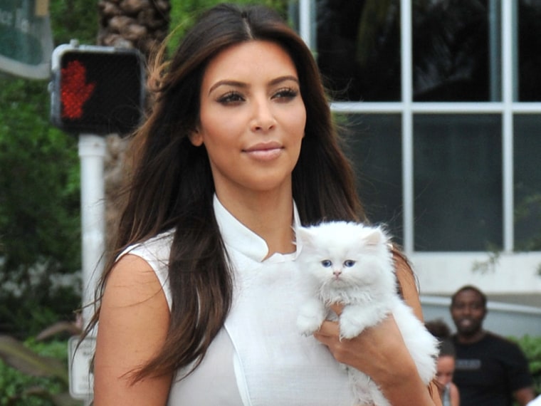 Kim Kardashian’s Kitten Mercy: A Controversial Tale 