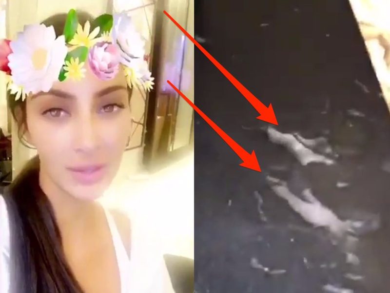 The Kim Kardashian Cocaine Pic: Society's Obsession with Scandal and Celebrity Missteps